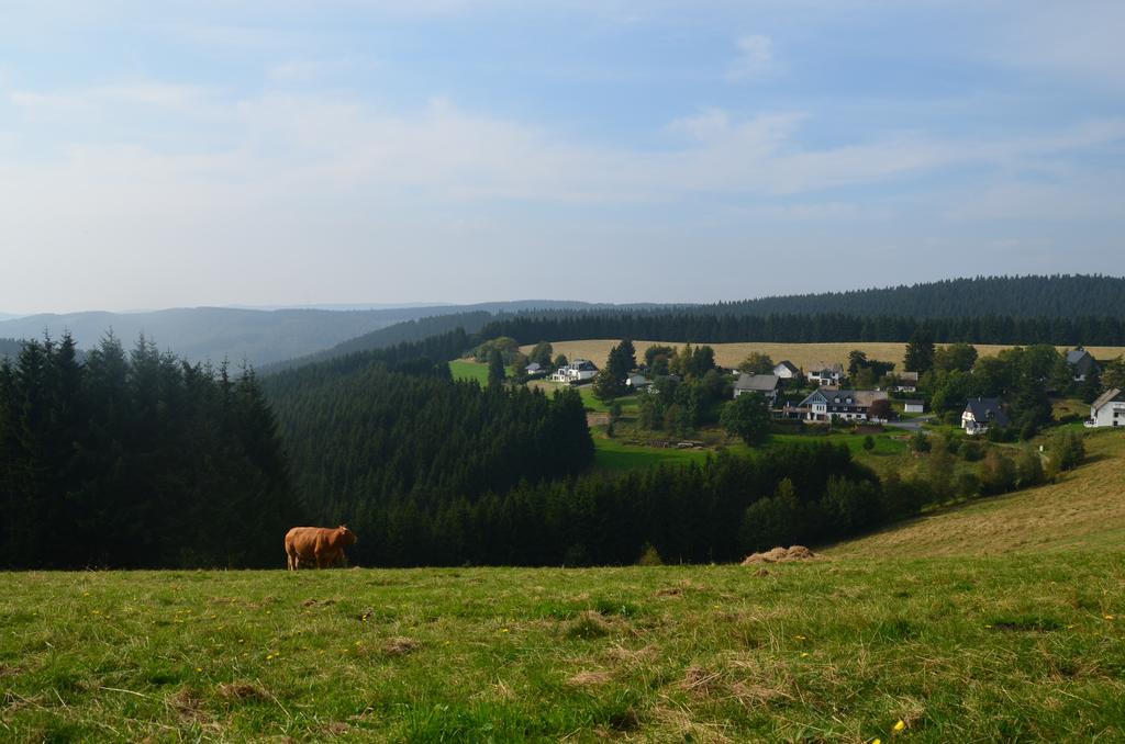 Berggasthof Zur Glocke Winterberg Exteriör bild